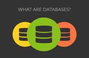 DATABASES